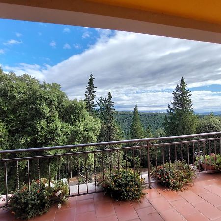 Casa Bruna - Cipresseta Del Chianti Castellina in Chianti Dış mekan fotoğraf