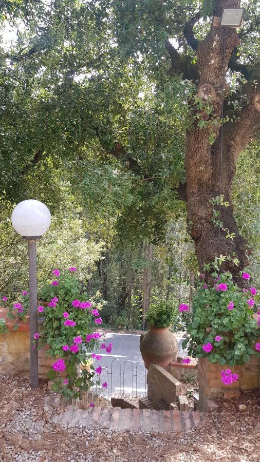 Casa Bruna - Cipresseta Del Chianti Castellina in Chianti Dış mekan fotoğraf