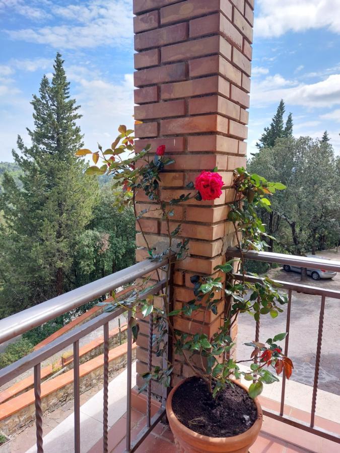 Casa Bruna - Cipresseta Del Chianti Castellina in Chianti Dış mekan fotoğraf